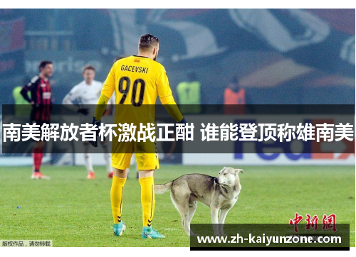 南美解放者杯激战正酣 谁能登顶称雄南美 南美解放者杯激战正酣 谁能登顶称雄南美